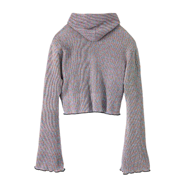 Glitter Short Hoodie