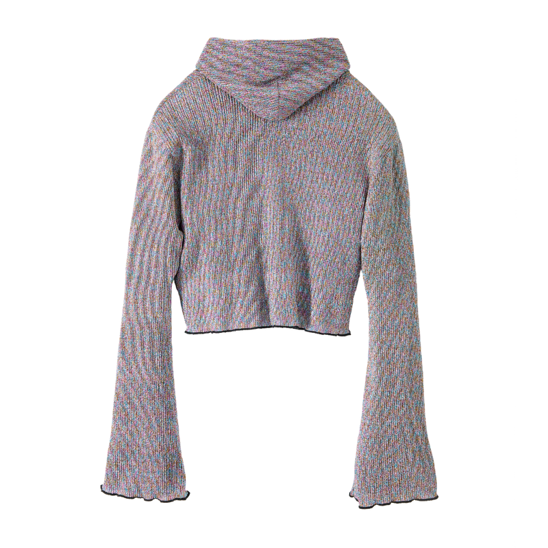 Glitter Short Hoodie