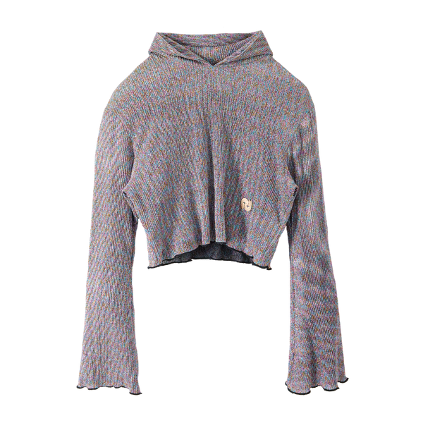 Glitter Short Hoodie